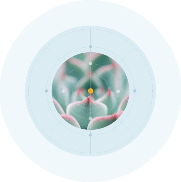 contact_graphic