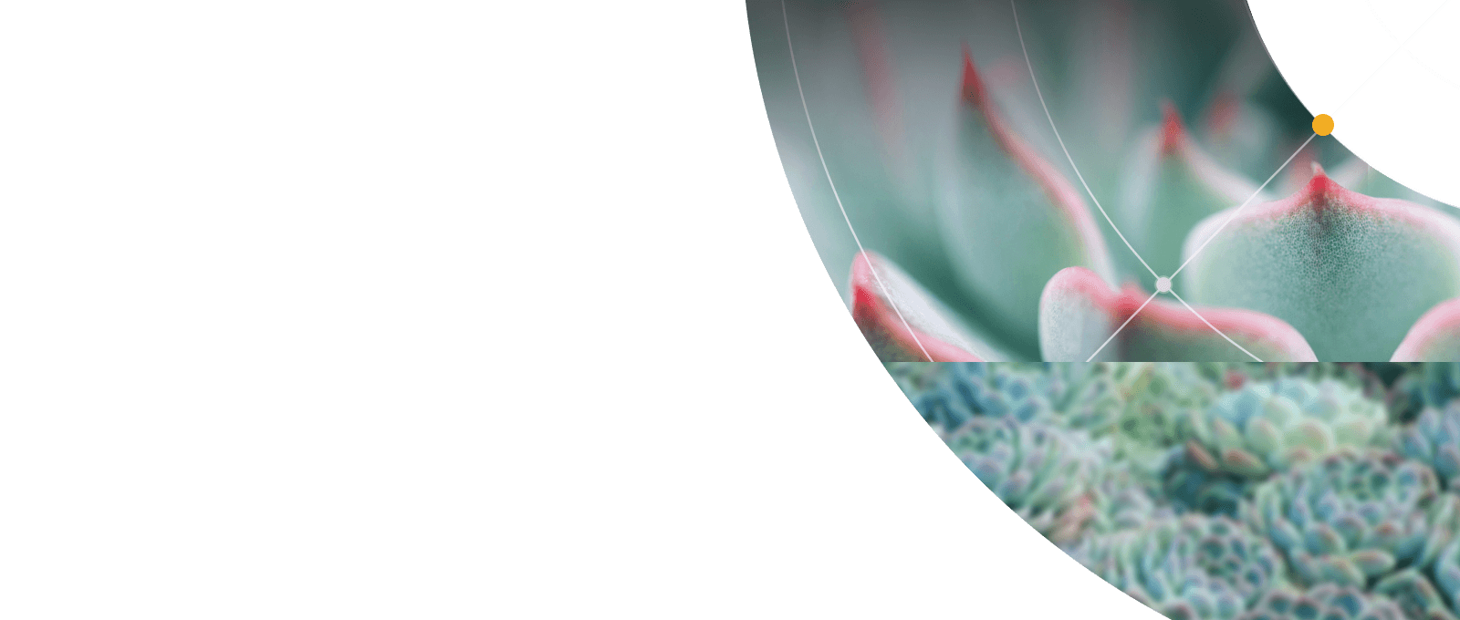 portfolio-full